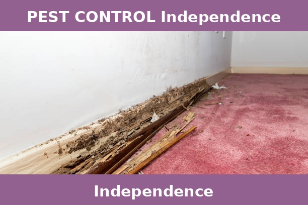 PEST CONTROL Independence